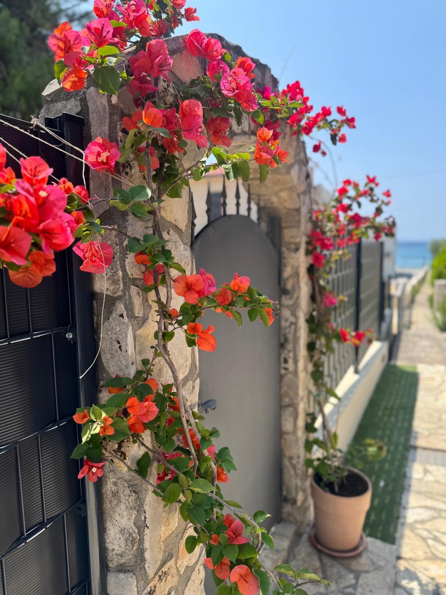 Sanmarino Apartmán *